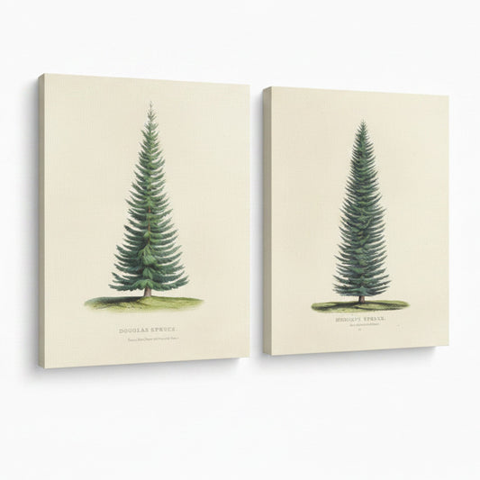 Two canvas prints with illustrations of trees on a white background, featuring the 'August Print Shop' logo.