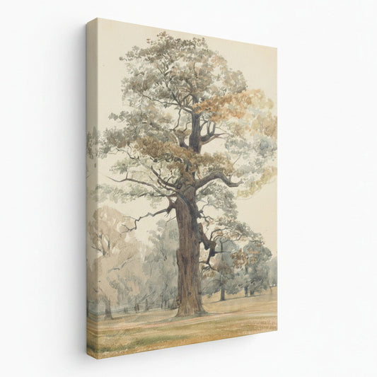 Framed artwork of a tree with 'August Print Shop' branding.