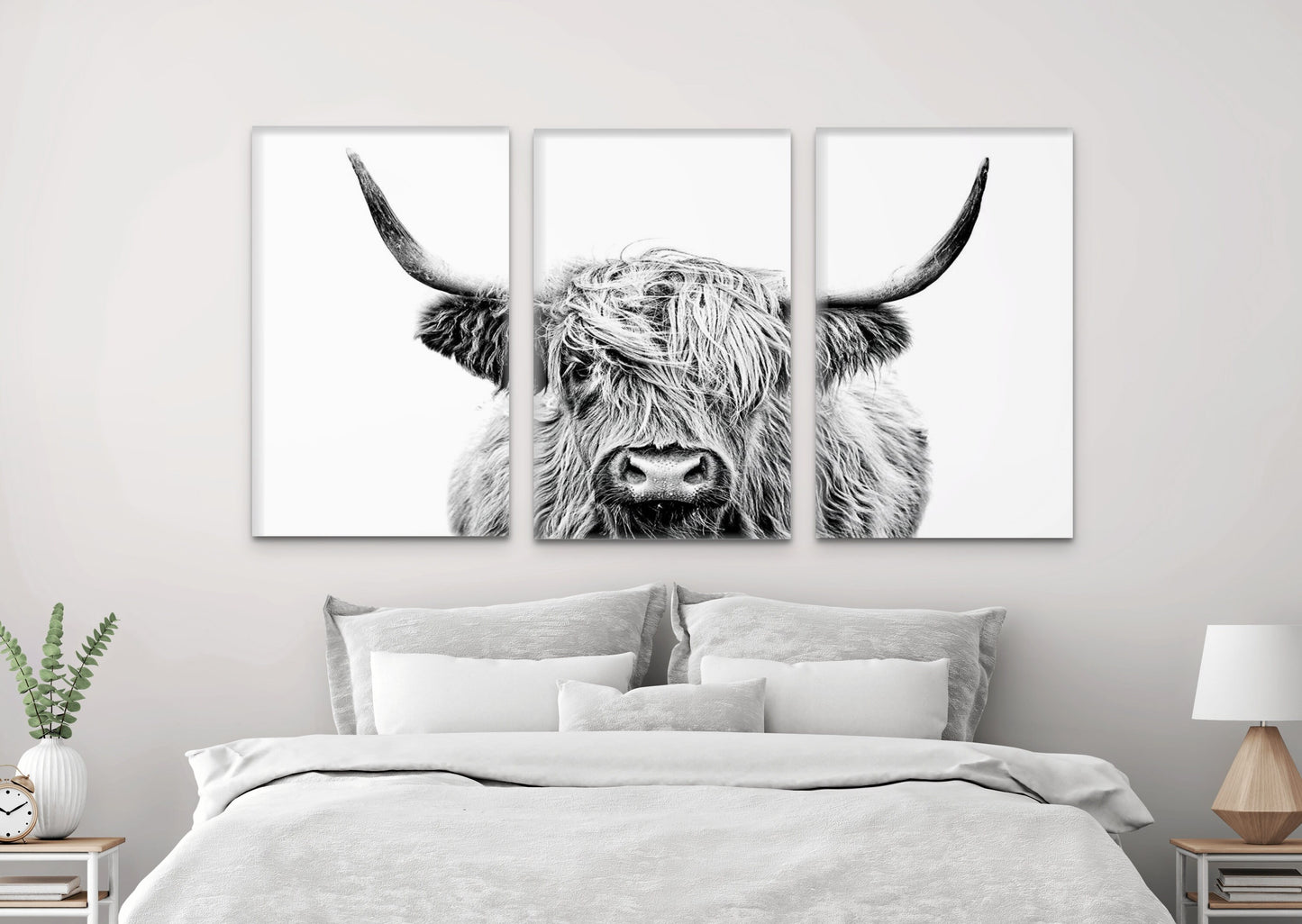 Black and White Highland Cow