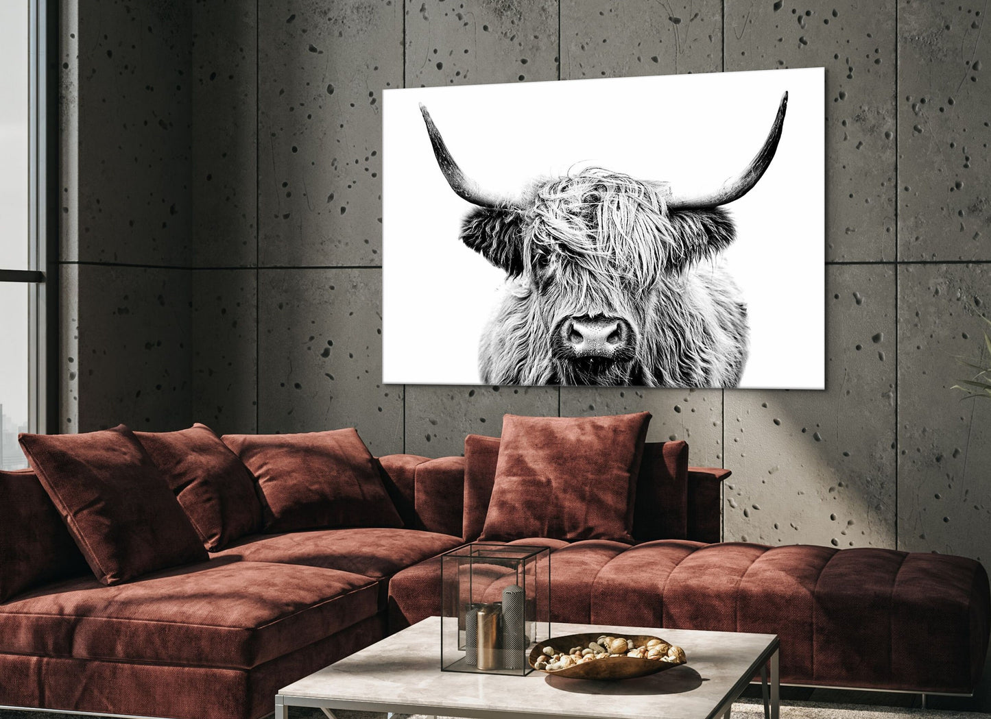 Black and White Highland Cow
