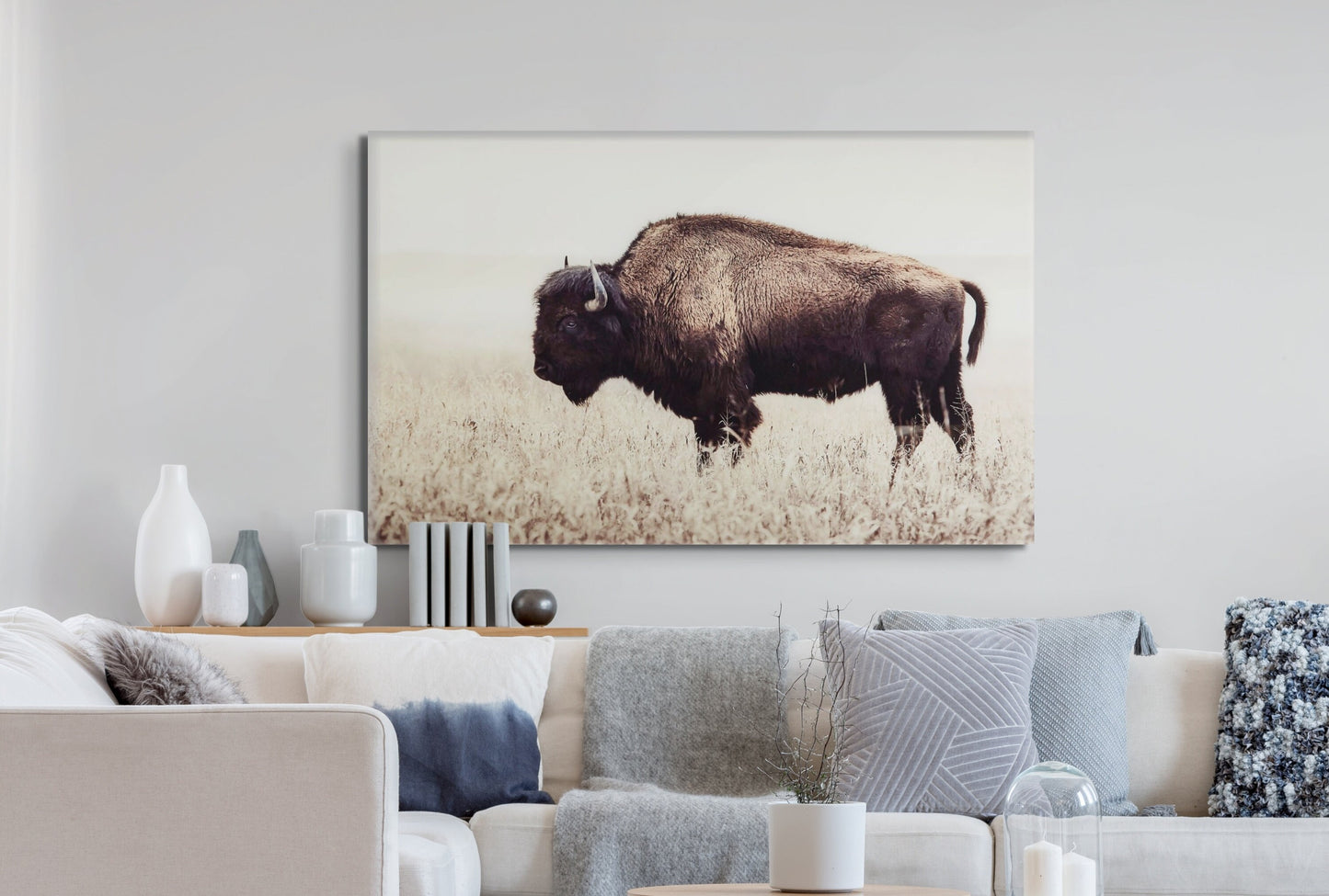 Field Bison