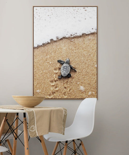 Baby Sea Turtle