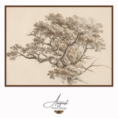 A Tree Study by Barend Cornelis Koek. Done in the late 1800s. Soft beige taupe background and darker sketch of a tree.