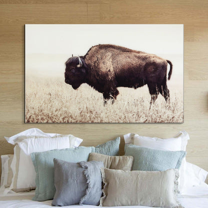 Field Bison